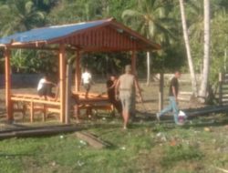 Warga Saketa Halsel Bongkar  Pagar Kebun Ketahanan Pangan Sebagai Bentuk Protes