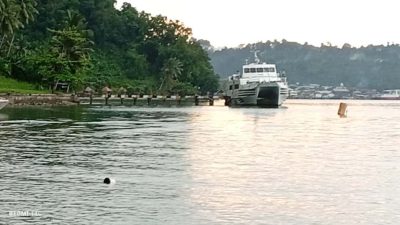 Pemkab Halsel Anggarkan Biaya Perawatan Babuk Dugaan Kasus Korupsi MV Halsel Ekspres 