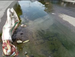 BJN Malut Akan Bersurat ke PDAM Halut Terkait Pipa Bocor di Jalan Trans Halmahera