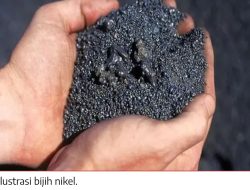 KPK Didesak Periksa Dirut PT WKM dan Mantan Kadis ESDM Malut