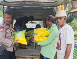 Menjalankan Program Presiden RI, Polsek Ibu Terus Salurkan Beras SPHP