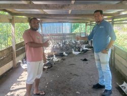 Dukungan Hj Robert Lewat NHM Peduli Perkuat Usaha Telur Bebek di Lingkar Tambang