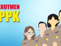 LBH Ansor Soroti Pemkot Ternate, Dugaan Ketua DPC Parpol Dilantik sebagai PPPK Paruh Waktu