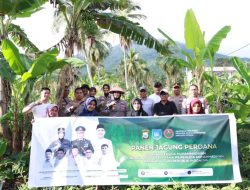 Polres Ternate dan Pemuda Muhammadiyah Maluku Utara Panen Perdana Jagung di Fitu