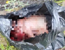 Polres Ternate Bentuk Tim Gabungan Ungkap Kasus Pembuangan Bayi di Sasa