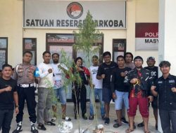 BNN Maluku Utara Selidiki Temuan Ladang Ganja di Galela Selatan, Halmahera Utara