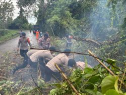 Respons Cepat Brimob Polda Malut Tangani Pohon Tumbang di Jalan Trans Halmahera