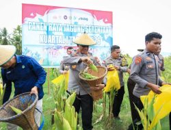 Kapolda Malut Hadiri Panen Raya Jagung Serentak Dukung Swasembada Pangan 2026