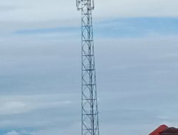 Warga Nilai Kinerja Bupati Halsel Buruk, Buntut Sudah Setahun Jaringan Telkomsel Rusak Tak Kunjung Diperbaiki