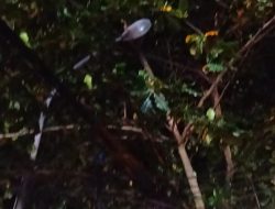 Polda Malut Terus Dalami Dugaan Penyimpangan Pajak Penerangan Jalan di Kota Ternate