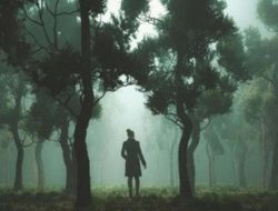 Warga Wai Ina Sula Dilaporkan Hilang di Hutan, TIM SAR Lakukan Pencarian