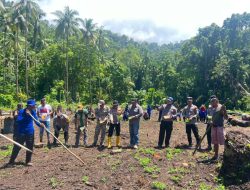 Polsek Gane Barat Turun ke Sawah, Tanam Jagung Hibrida Dukung Ketahanan Pangan