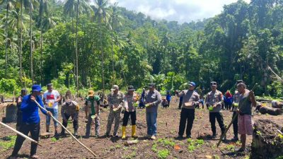 Polsek Gane Barat Turun ke Sawah, Tanam Jagung Hibrida Dukung Ketahanan Pangan
