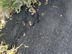 Diduga Asal-Asalan, Kualitas Hotmix Jalan Dalam  Kota Weda Halteng Dipertanyakan