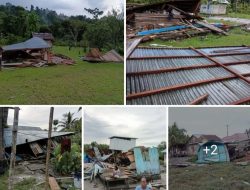 Angin Puting Beliung Terjang Desa Fokalik di Sula, Empat Rumah Warga Rusak