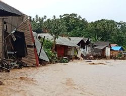 Puluhan Rumah di Desa Waisakai Kepulauan Sula Terendam Banjir, Warga Terpaksa Mengungsi