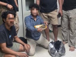 Jemput Paket Ganja Pemuda di Halteng Ini Ditangkap Polisi