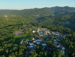 NHM Tunjukkan Praktik ESG, Reklamasi 232,69 Hektar Lahan Bekas Tambang 