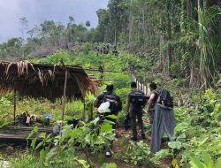 Polda Malut Bentuk Tim Gabungan Ungkap Kasus Pembunuhan di Patani Halteng