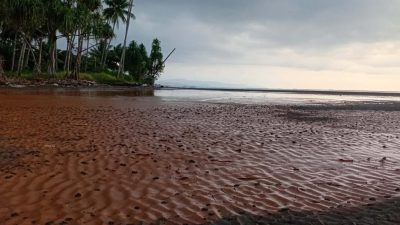 Pemprov Malut Tegaskan Beri Sanksi Dua Perusahaan di Haltim yang Diduga Cemari Lingkungan 