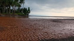 Diduga Dalang Pencemaran Lingkungan, Pemprov Malut Didesak Cabut Izin PT Feni 