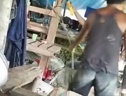 Tambang Ilegal Masih Beroperasi, Polda Malut Didesak Copot Kapolres Halsel 