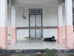 10 Bulan Kantor Desa Saketa Dipalang, Dugaan Korupsi ADD dan DD Tak Kunjung ada Kejelasan