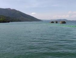PT FHT Bergerak Cepat Tanggap Darurat dan Restorasi Lingkungan Pasca Hujan di Haltim 