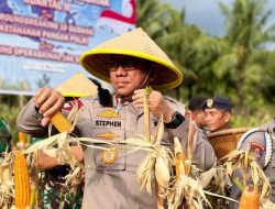 Dukung Swasembada Pangan, Wakapolda Malut Panen Raya Jagung Serentak di Sofifi
