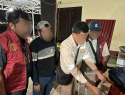 Edarkan Ganja, Karyawan Tambang di Halteng Ditangkap Polisi