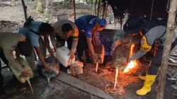 Jelang Idul Adha, Polsek Gane Barat   Musnahkan Tempat Penyulingan Miras 