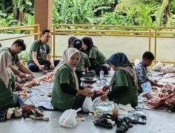 Kejati Maluku Utara Sembelih 10 Hewan Kurban pada Idul Adha 1447 Hijriyah