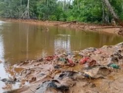 Pemerintah Diminta Audit Aktivitas PT Feni Haltim Dampak Pencemaran Teluk Buli