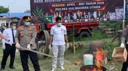 Polres Halut Musnahkan Ribuan Liter Miras dan Narkotika dari Hasil Operasi Rutin Selama 5 Bulan 