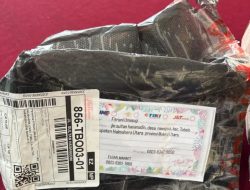 Pria di Desa Rawajaya Tobelo Diringkus Polisi Usai Ambil Paket Ganja di Jasa Ekspedisi