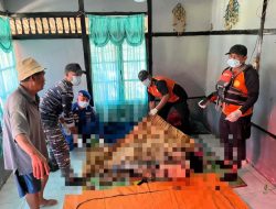 Hilang Saat Melaut, Nelayan di Desa Koititi, Halmahera Selatan Ditemukan Meninggal Dunia