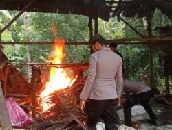 Polsek Taliabu Timur Selatan Musnahkan Tempat Produksi Miras
