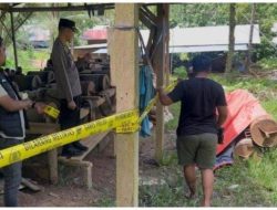 Kapolda Malut Kaget Dua Tersangka PETI di Obi Kabur, Kapolres Halsel : Mereka Wajib Lapor