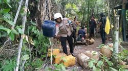 Polsek Gane Timur, Halsel Musnahkan Ratusan Liter Miras dan Saguer di Tempat Penyulingan 