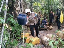Polsek Gane Timur, Halsel Musnahkan Ratusan Liter Miras dan Saguer di Tempat Penyulingan 