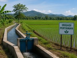 Halut Dapat Kucuran Dana Pusat Lebih dari Rp100 Miliar, Perkuat Infrastruktur Irigasi Pertanian