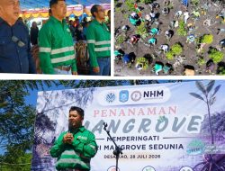 NHM Perkuat Agenda ESG melalui Konservasi Mangrove dan Penguatan Ekonomi Komunitas Pesisir
