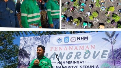 NHM Perkuat Agenda ESG melalui Konservasi Mangrove dan Penguatan Ekonomi Komunitas Pesisir