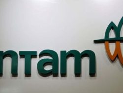 Temuan BPK Maluku Utara PT Antam Belum Lunasi Biaya Listrik ke PLN Rp719,9 Miliar