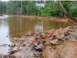 PT. FHT Didesak Tunjukkan Dokumen   Amdal dan Tidak Beropini atas Kerusakan Kali di Haltim 