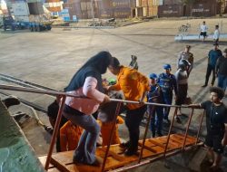 142 Penumpang KM Bunda Maria yang Alami Kecelakaan di Perairan Tidore Berhasil Dievakuasi dalam Keadaan Selamat 