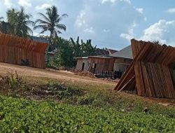 Dua Pengusaha di Obi Halsel Dilaporkan ke Polisi Terkait Dugaan Pembalakan Liar di Desa Sambiki 