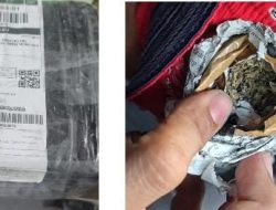 Narkotika dari Medan Kembali Masuk Ternate 