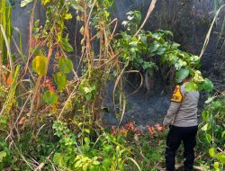Kebakaran di Tubo Ternate, Warga Padamkan Api Secara Manual 