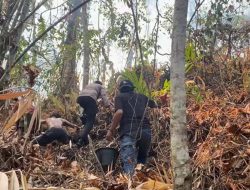 Kebakaran Lahan Kembali Terjadi, Polsek Ternate Utara Bersama Warga Berupaya Padamkan Api